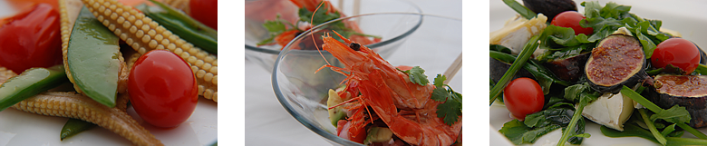 Xsite Foods Catering