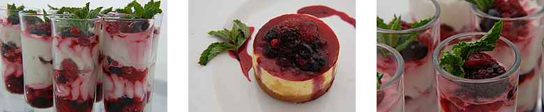 Xsite Foods Catering